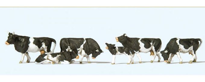 VACHES NOIRES ET BLANCHES