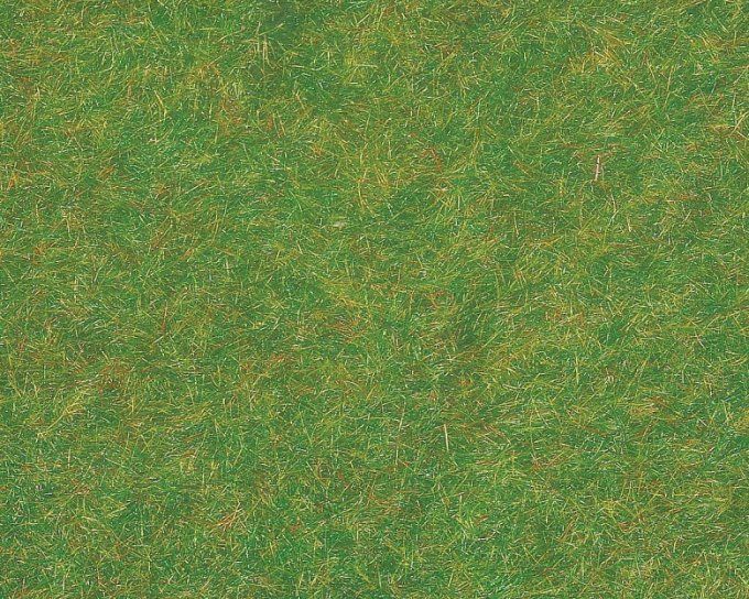 Tapis,vert fonce gazon