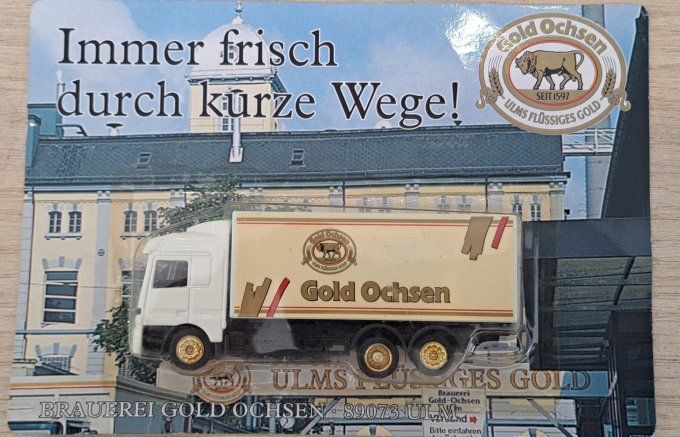 DGD MERCEDES ACTROS GOLD OCHSEN